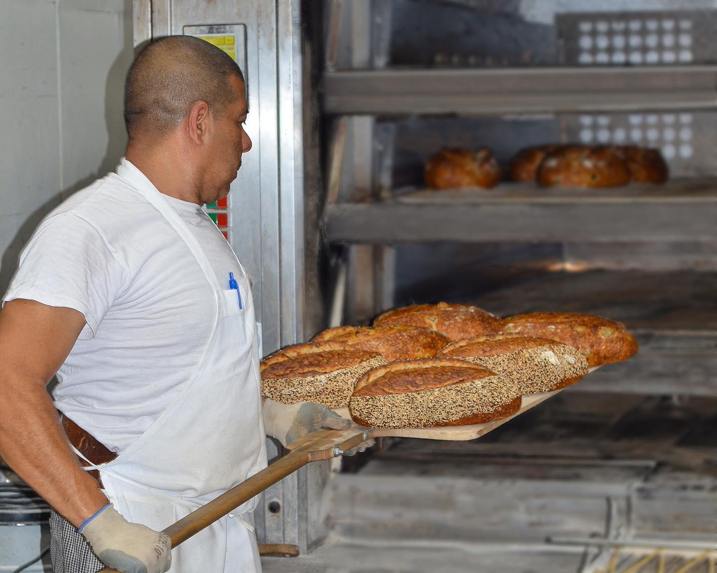 Fresh bread from the oven