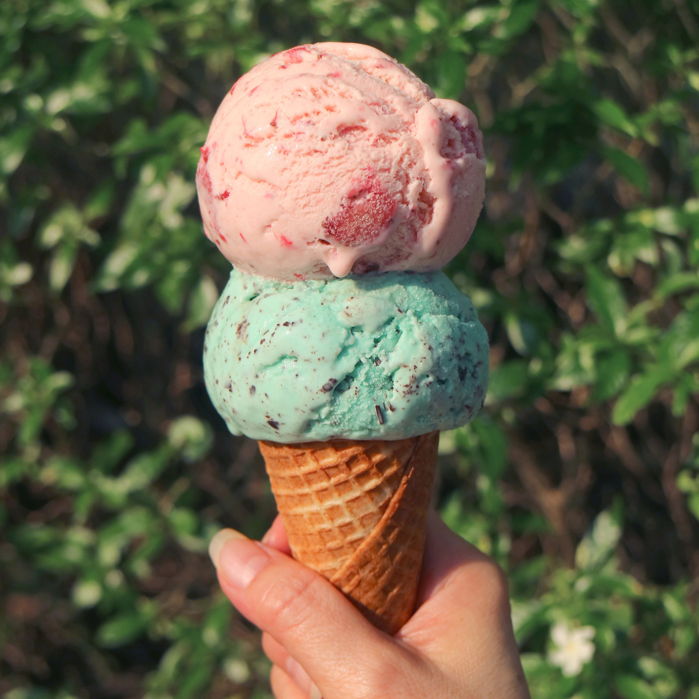 Pistachio Ice Cream on Sugar Cone-Double Scoop