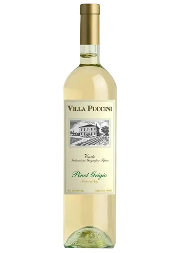 VILLA PUCCINI PINOT GRIGIO DOC 2022