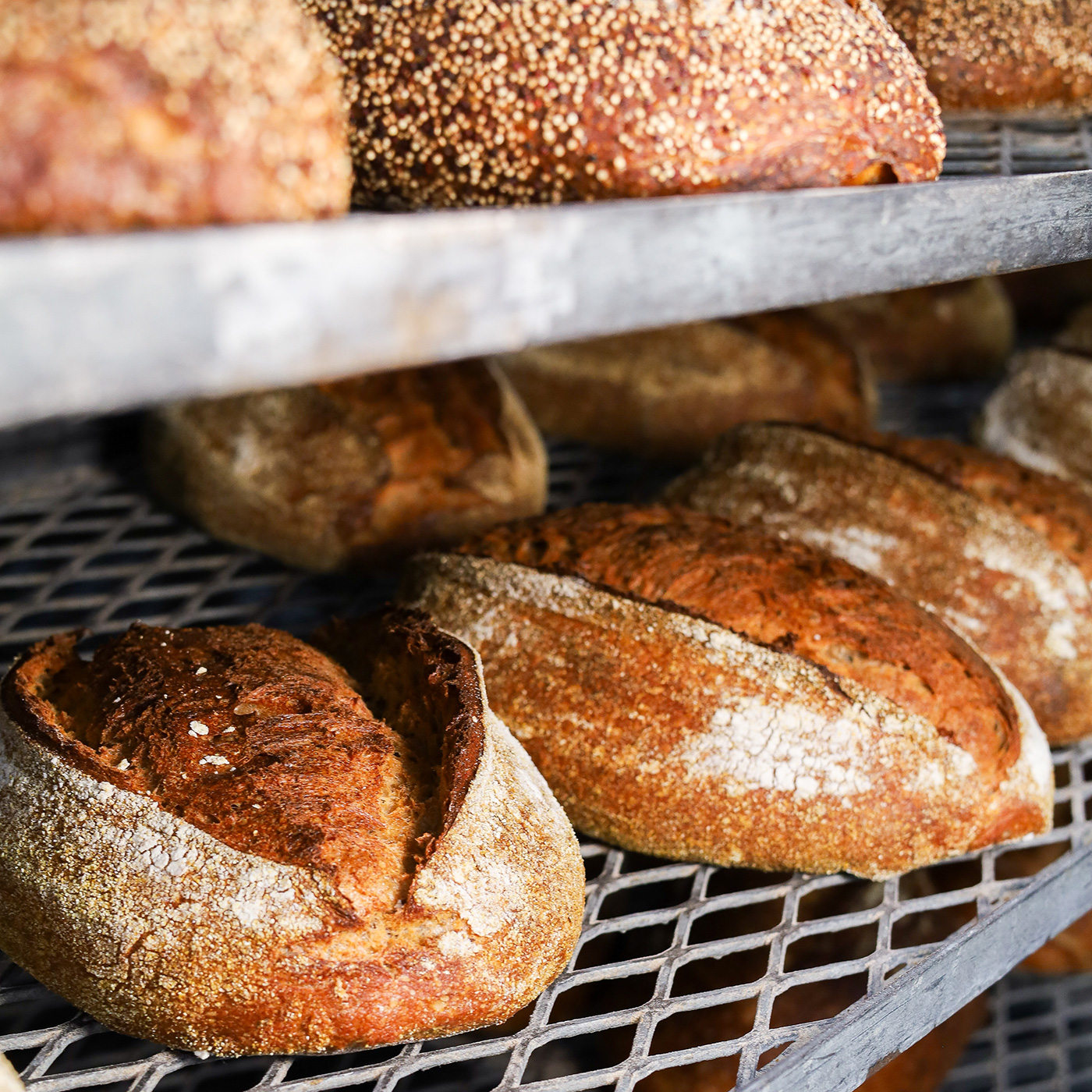 Fresh baked bread